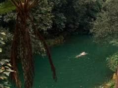 反覆、軌跡和延異