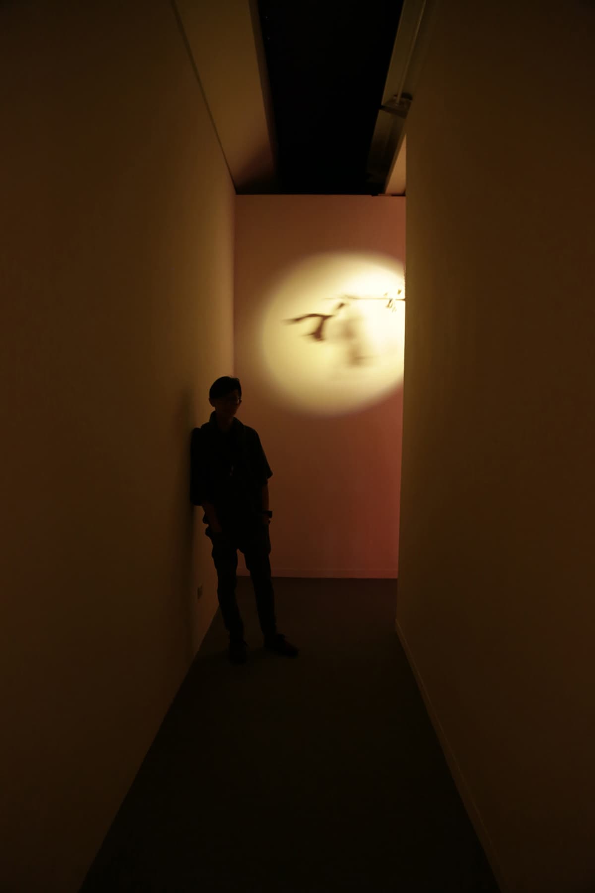 紙人展-動畫裝置-3