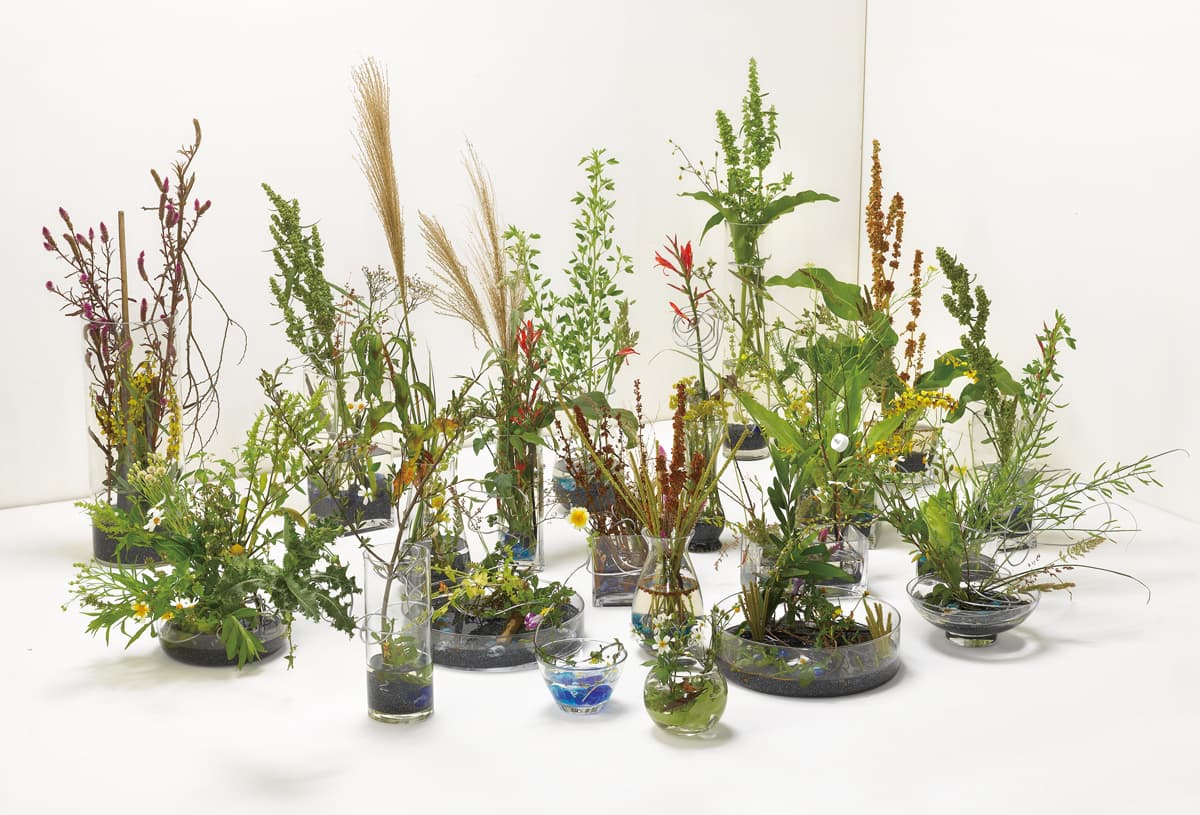 荒地計畫：為我插一盆花