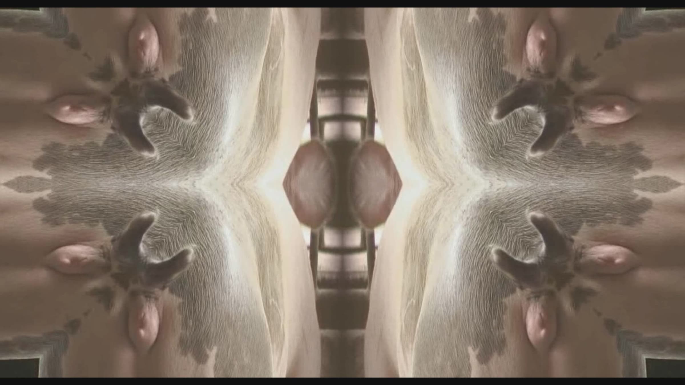 13.IV討好˙花世界-A