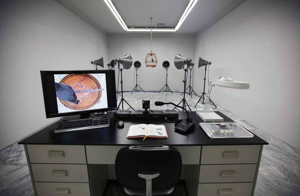 2012-我叫小黑-no.2