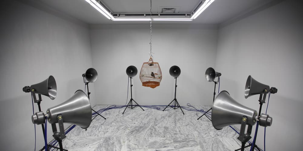 2012-我叫小黑-no.3