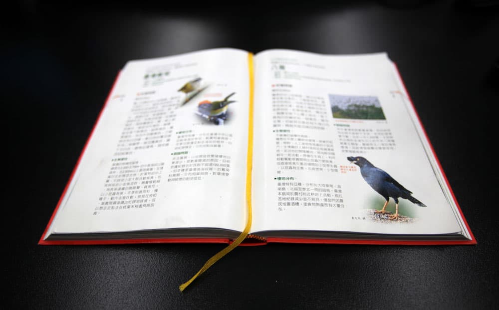 2012-我叫小黑-no.6