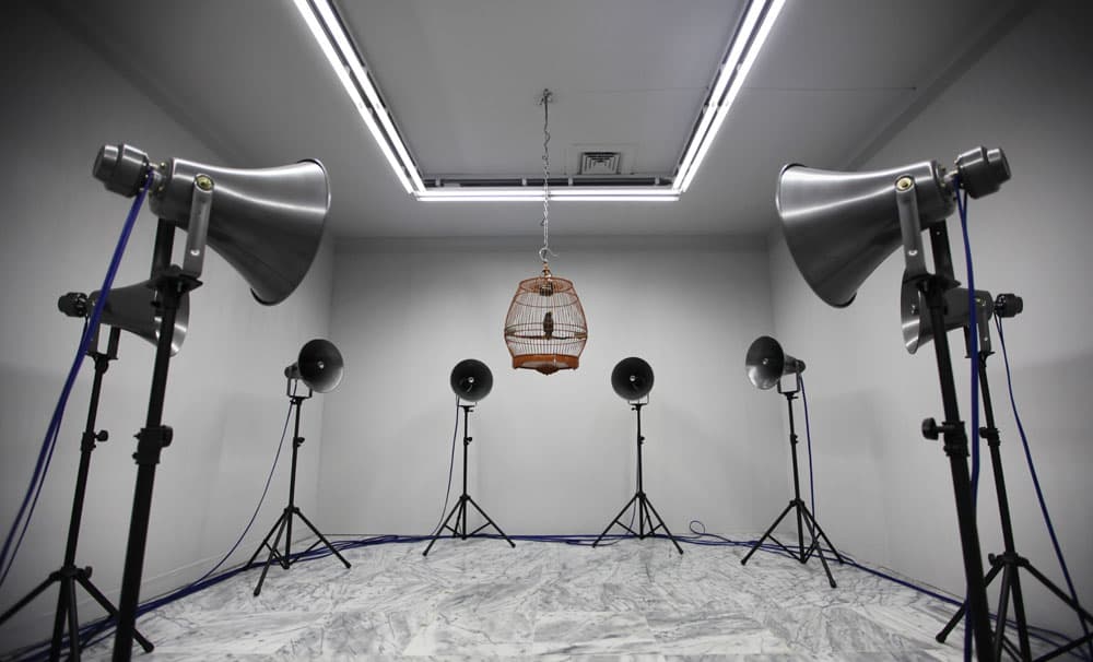 2012-我叫小黑-no.8