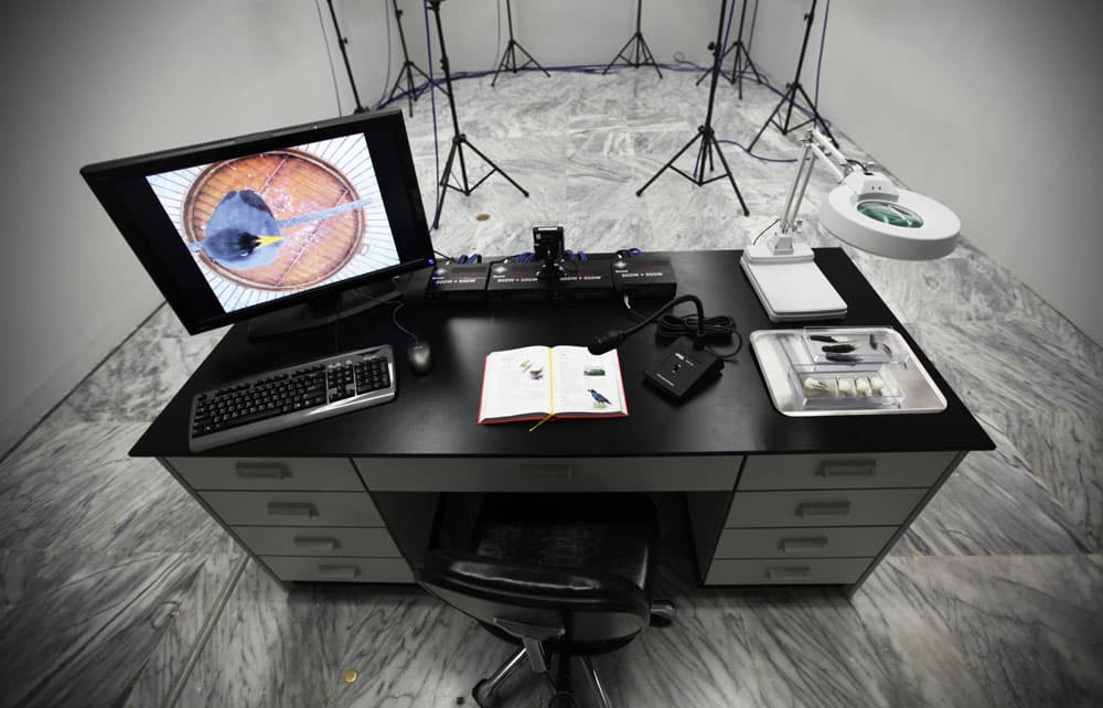 2012-我叫小黑-no.9