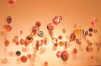 海洋裡的生命密碼II