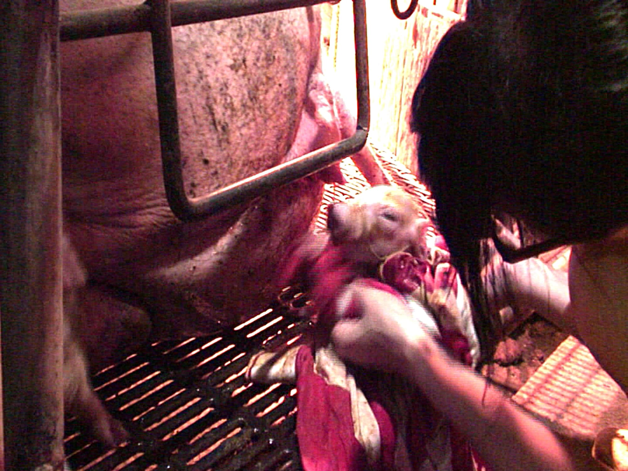 4.slotmachine-a-300dpi