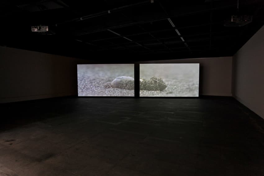 6_Taipei_Port_Carrier03