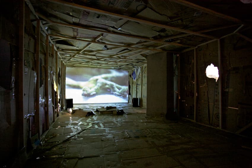 蟑螂屋-洞的奧祕