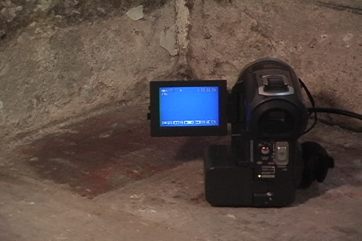 它拍它來給它播來拍它