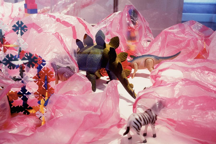 歡樂迷宮 - 窩在囊裡