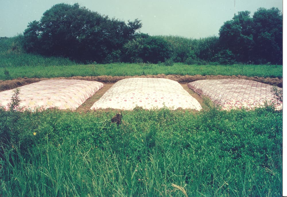 藝術休耕-愛洗三溫床