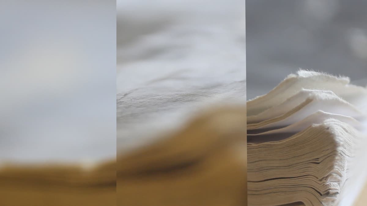 HHSChrysalide-01.jpg01