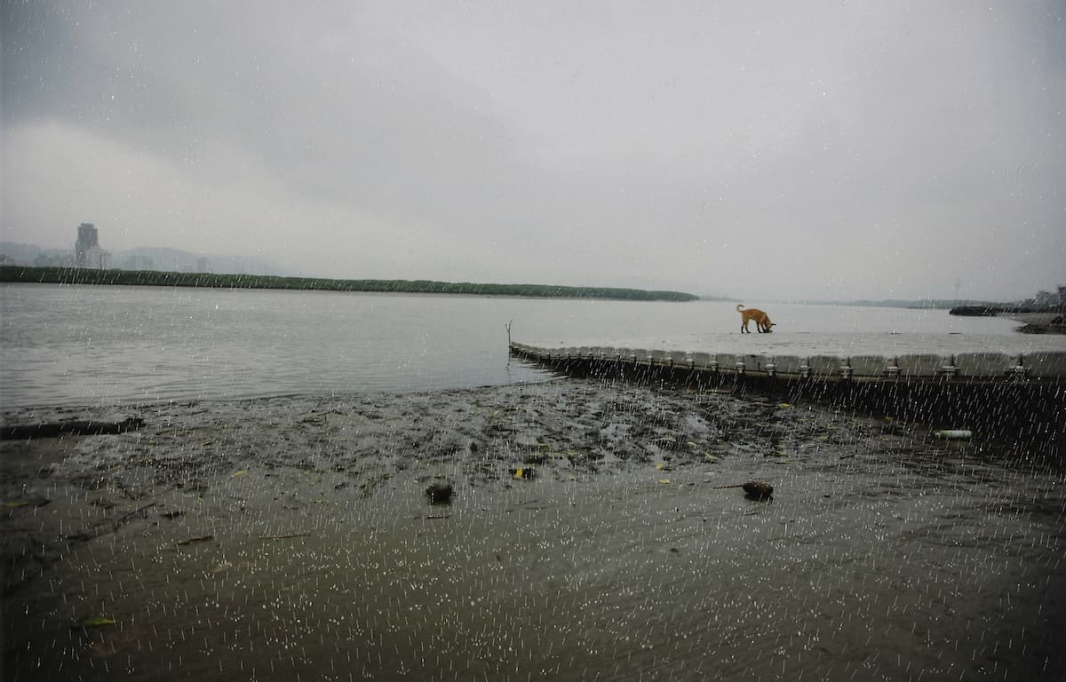 HIT-contemplating_no.2