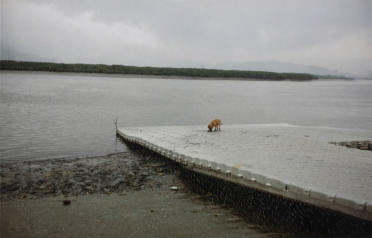 HIT-contemplating_no.3