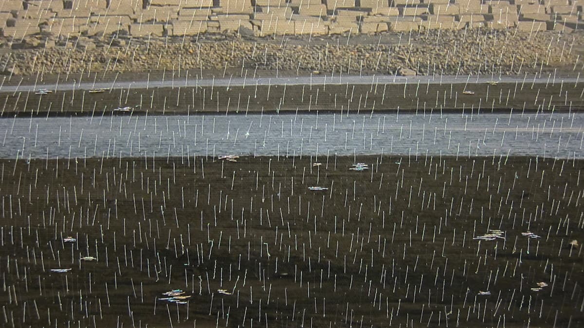 HIT-contemplating_no.5