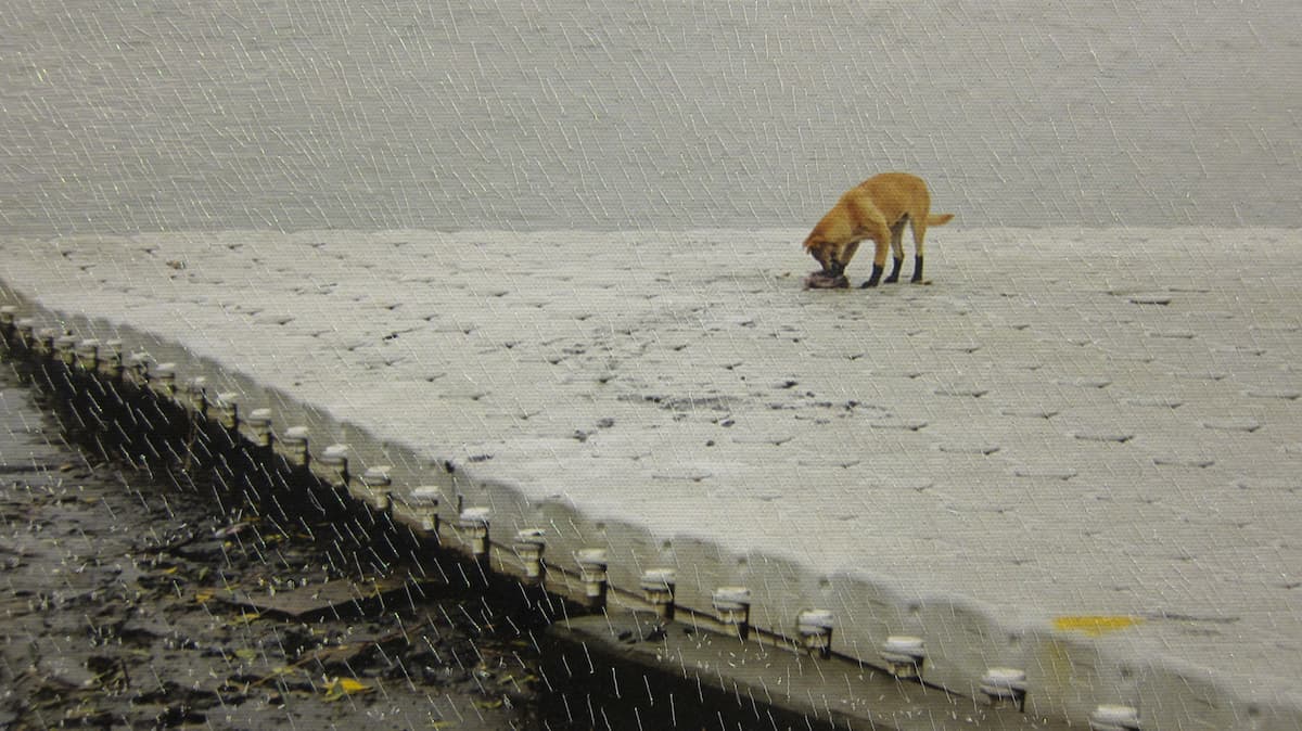 HIT-contemplating_no.6