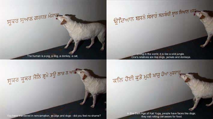 Hcp_錫金聖典之犬