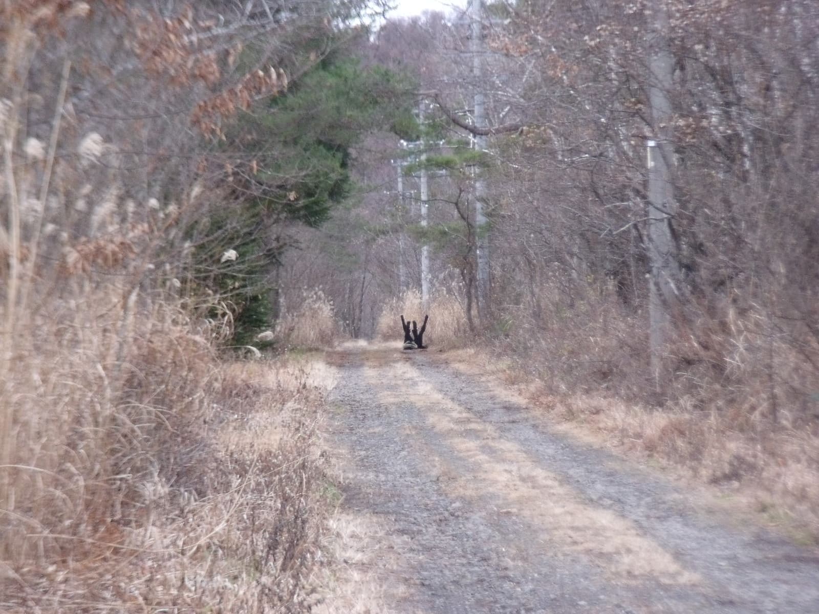 YYJ-NIPAF-2葉育君-16th日本行為藝術節-2