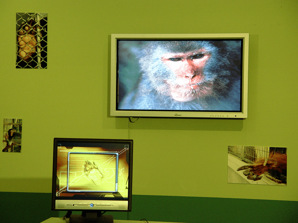 連體嬰共生計畫