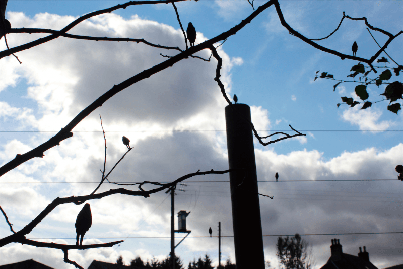 他們在我們之間