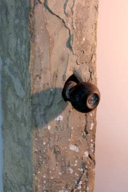 恍惚流轉的小城雜碎—斷片I