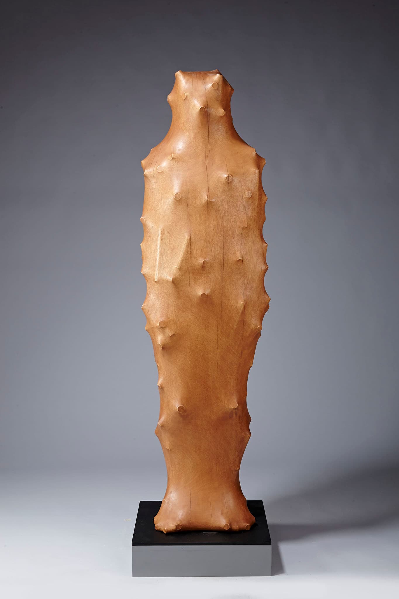 董明晉-皮相構思─人物-右_1