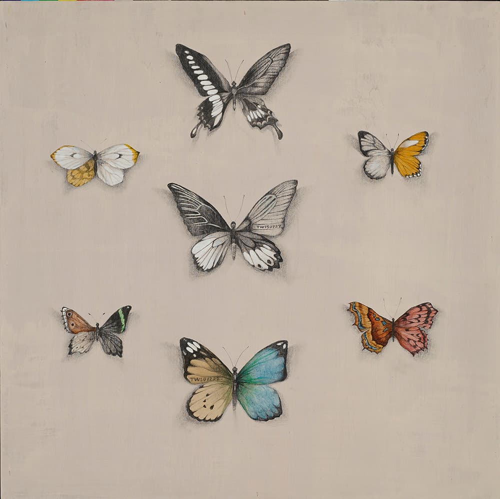 HPC-1-2-我們好像一起度過了一些時光-許旆誠