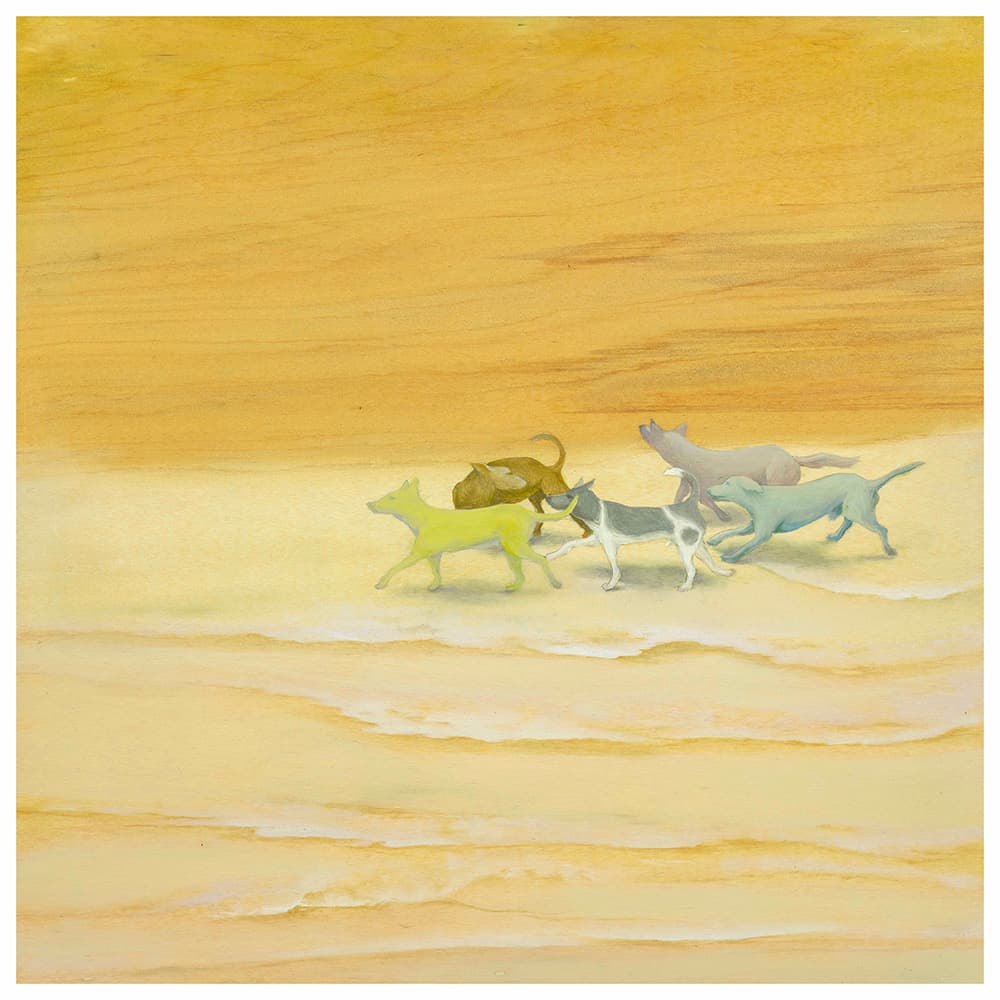 HPC-3-1.穿越華美與荒蕪之境-許旆誠