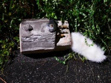 恍惚流轉的小城雜碎：雜記