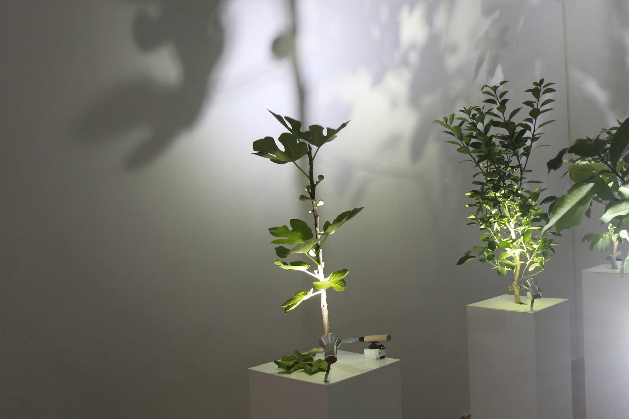 丁丁丁｜互動裝置