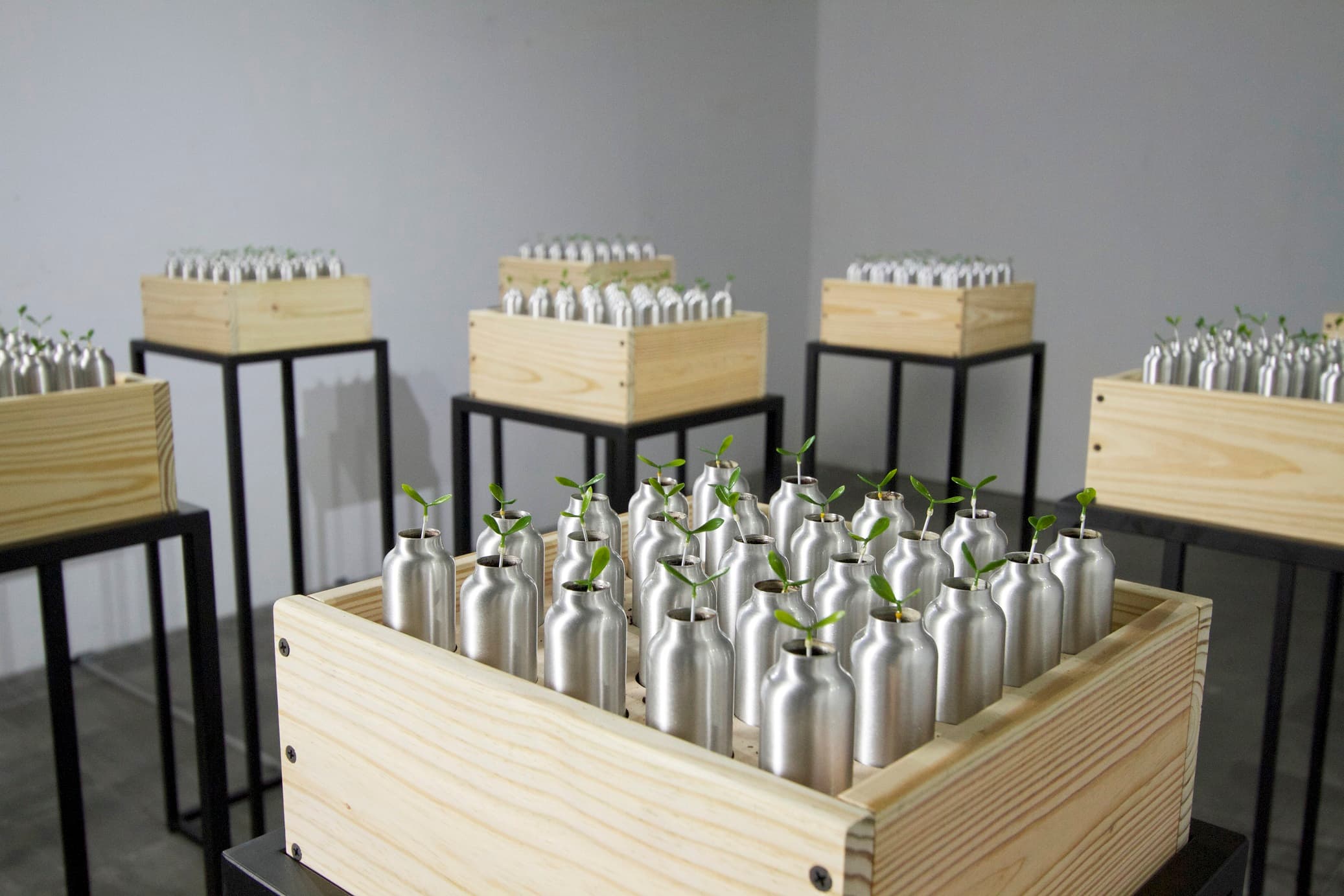 共生苗｜動力裝置