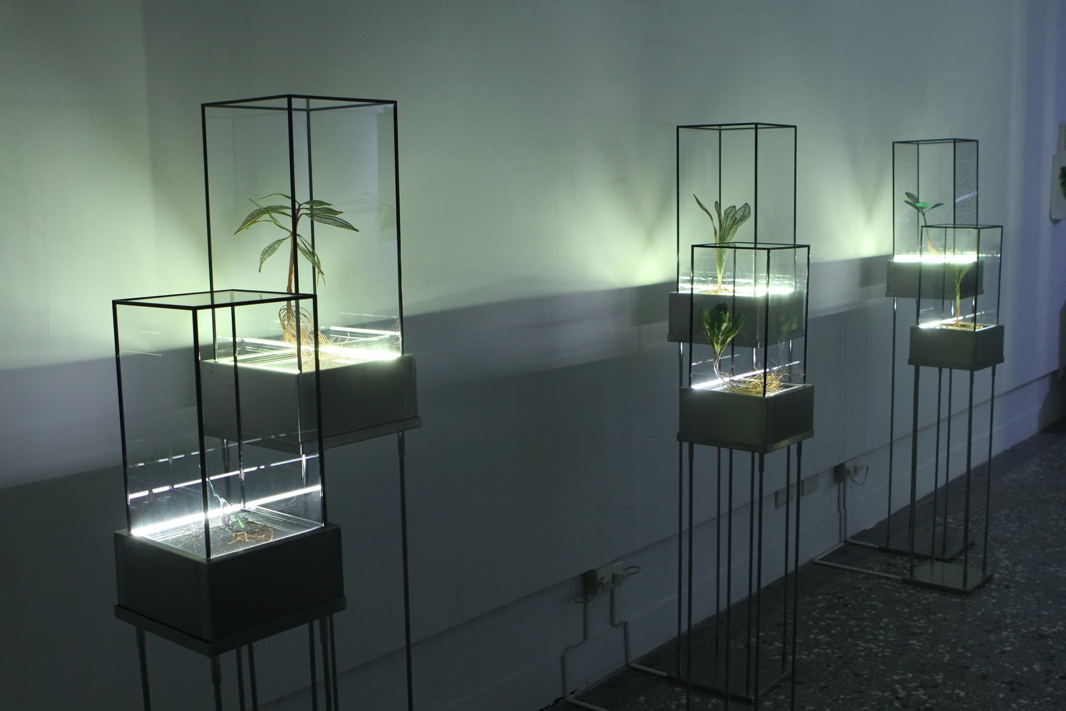 綠體記憶術｜動力裝置-2