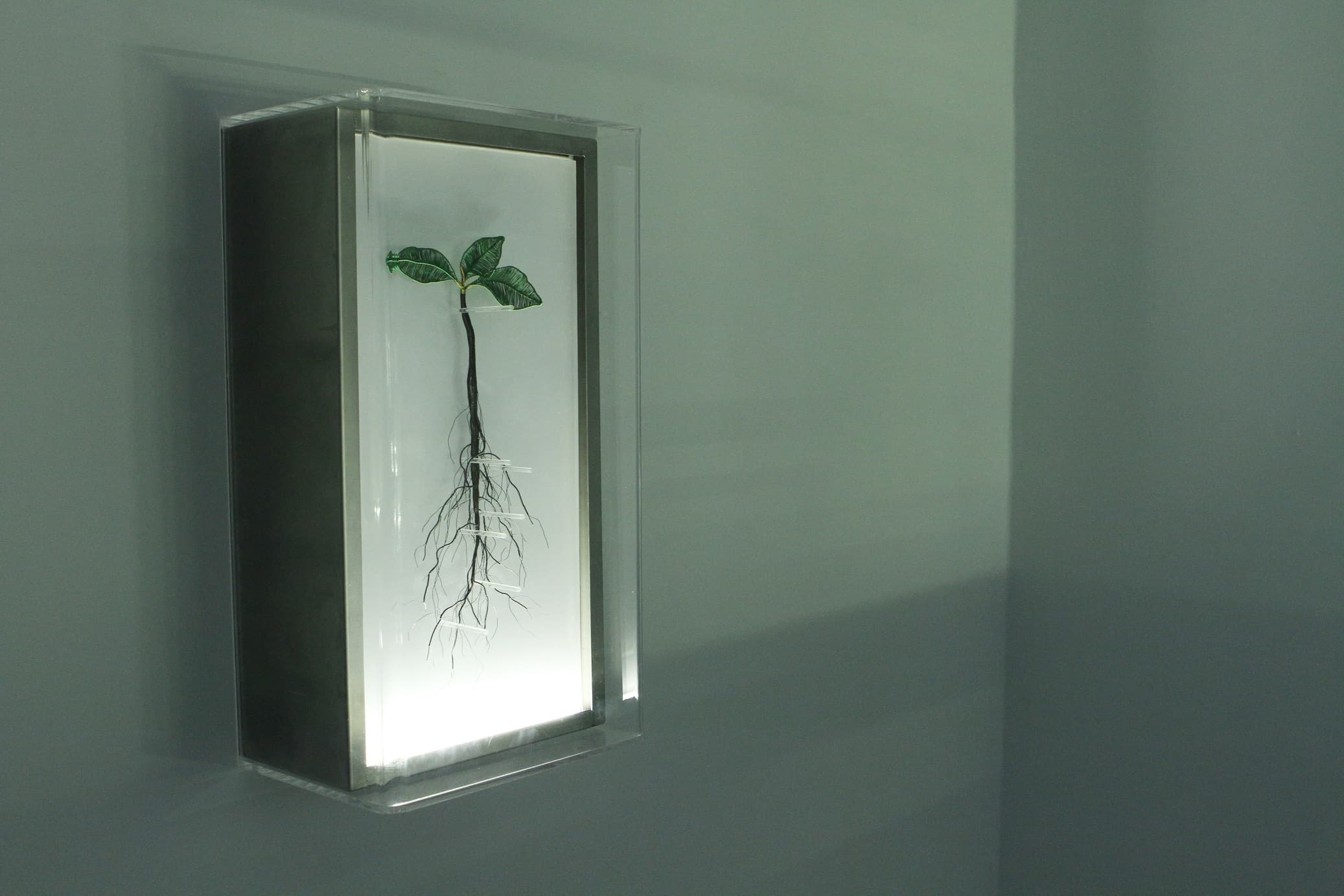 綠體記憶術｜動力裝置-3