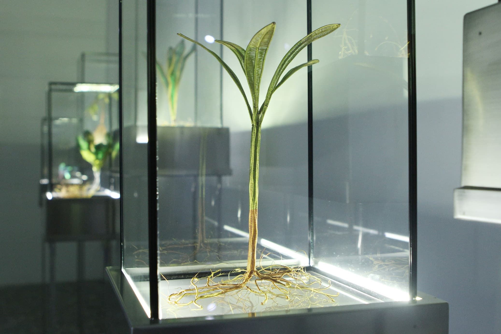 綠體記憶術｜動力裝置-4