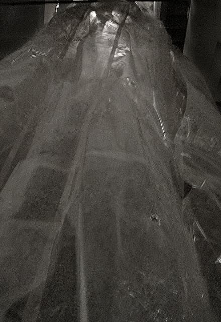 五十公尺長的光