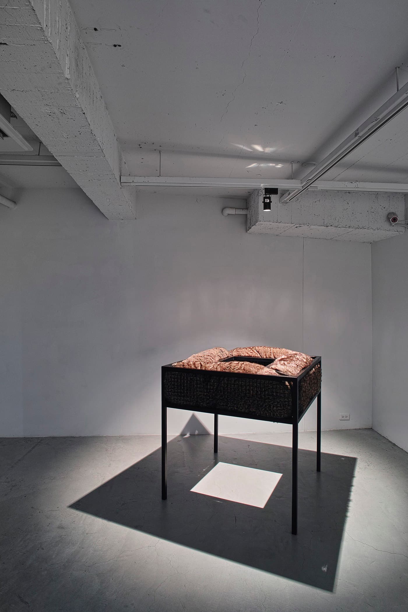 余與熊長都是我想要的