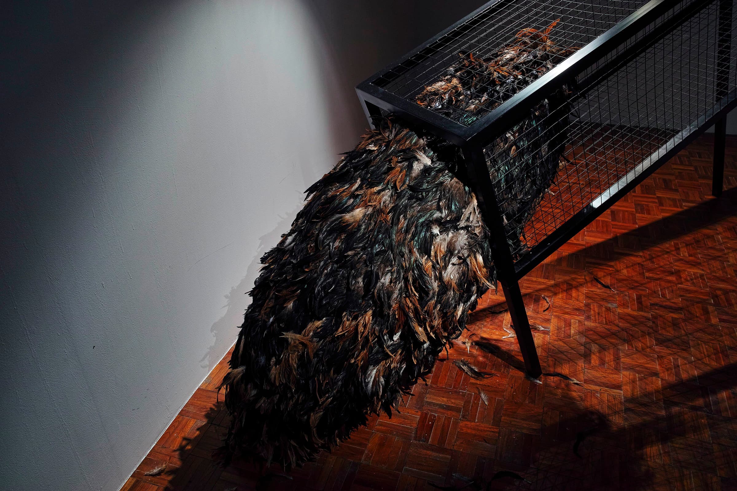 2015災難性成長2號