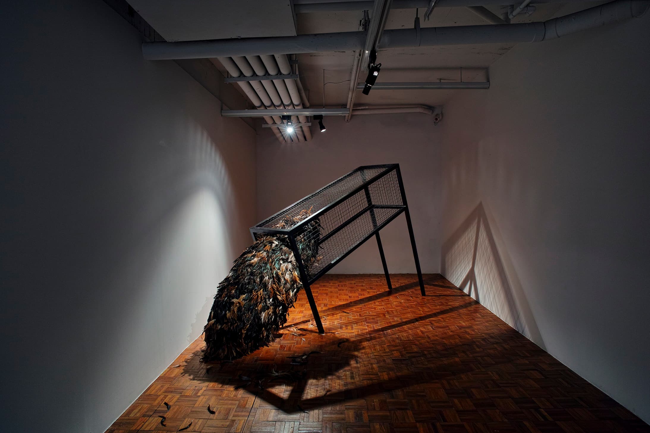 2015災難性成長2號1