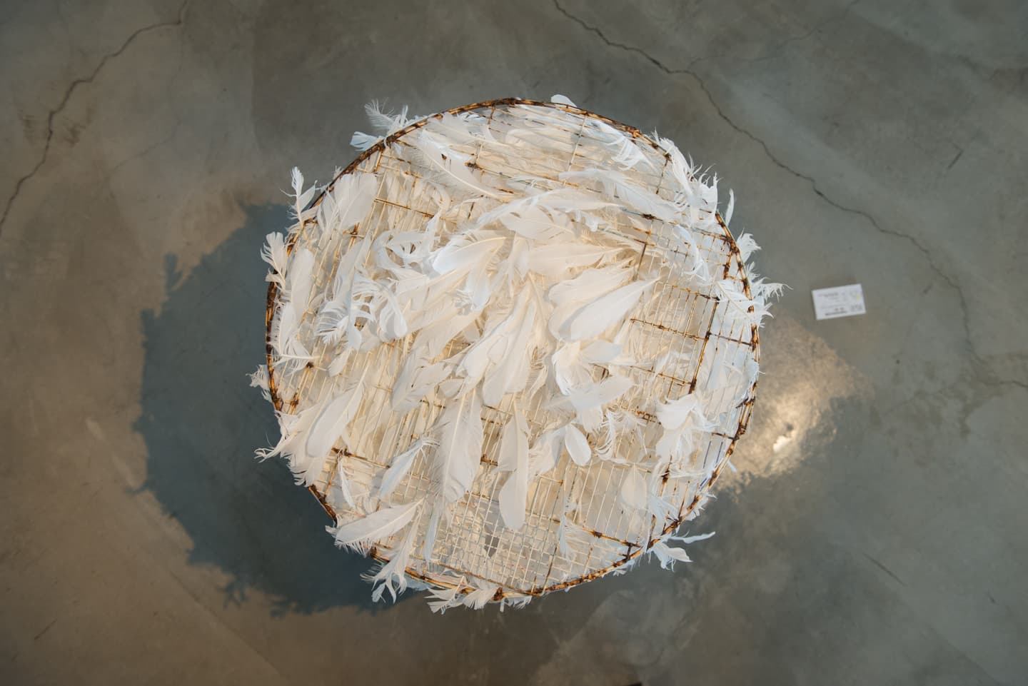 牠真的跟我的草圖一模一樣