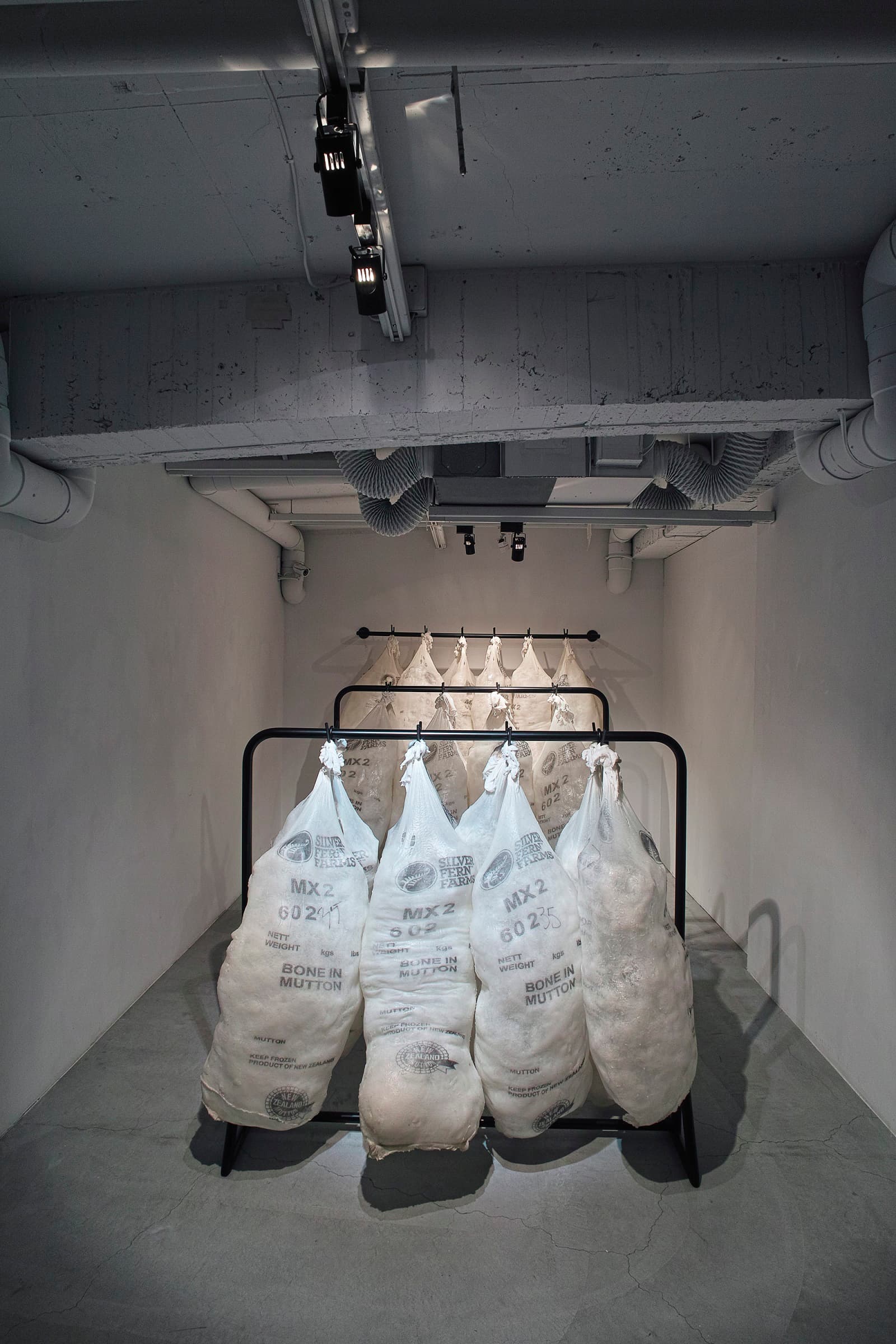 2015肉身群組正面