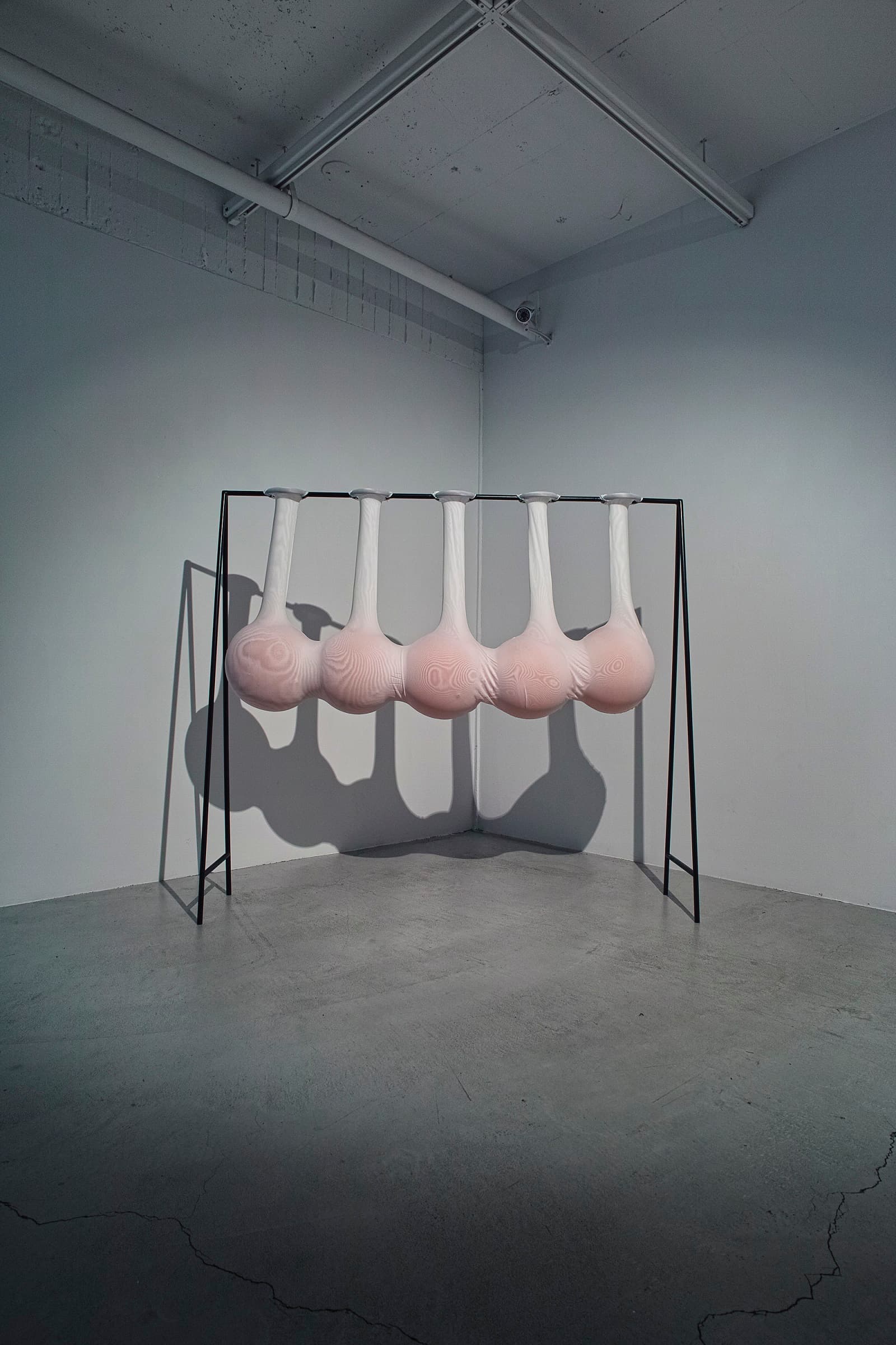 2015過分餵食的心肝全照