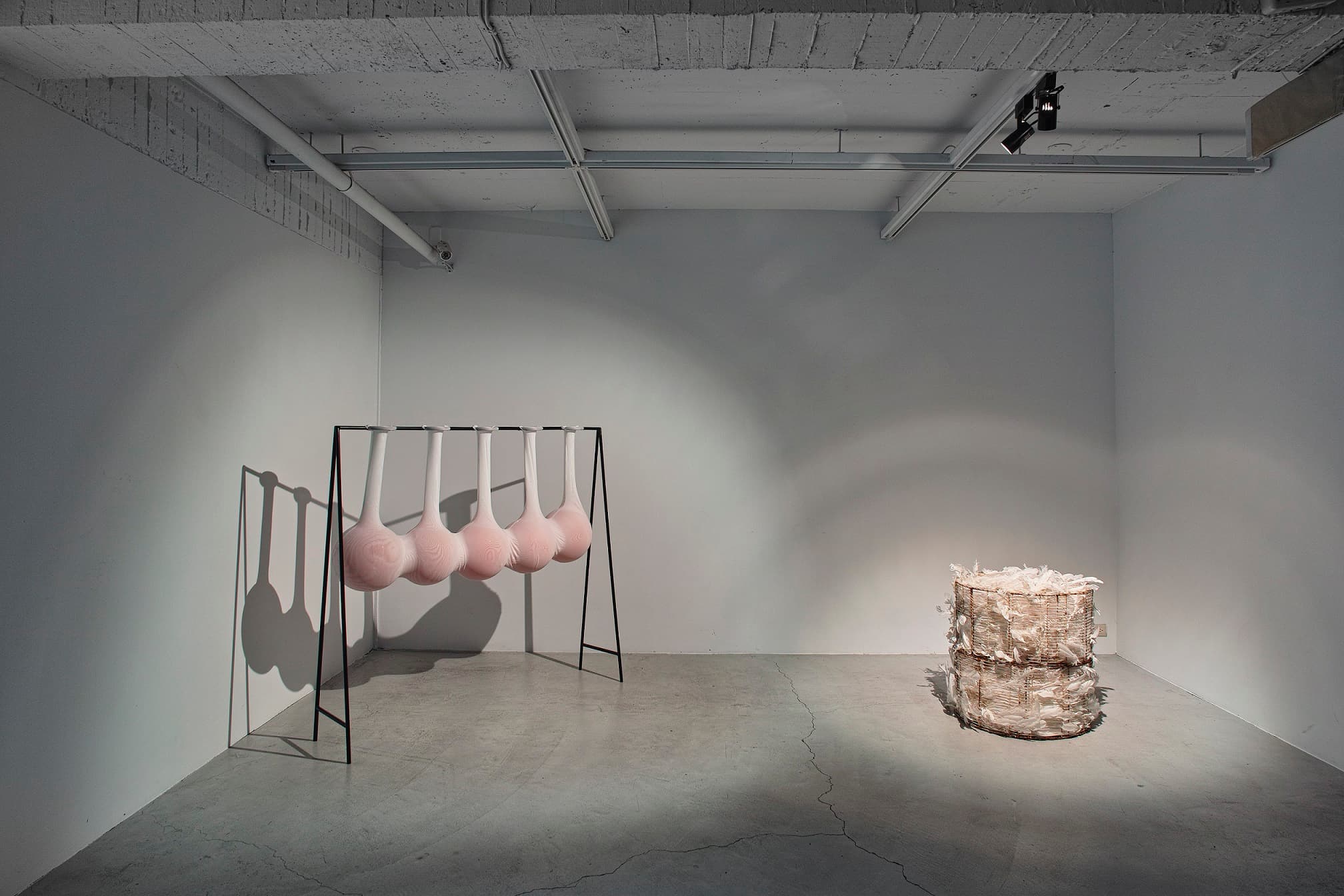 過分餵食的心肝