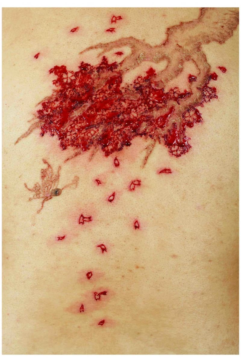 紋人畫─落櫻繽紛