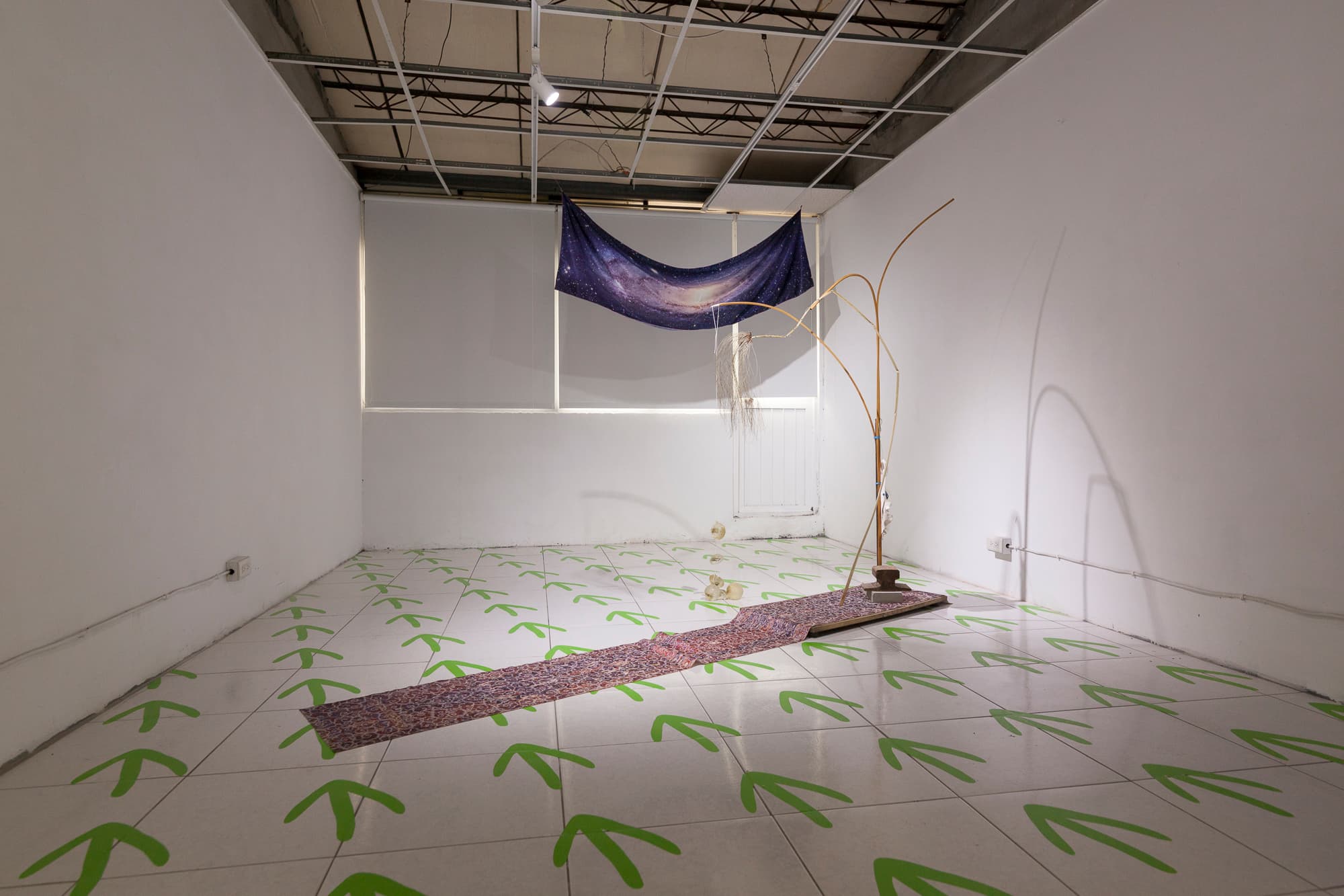 祖母（尼默豆）