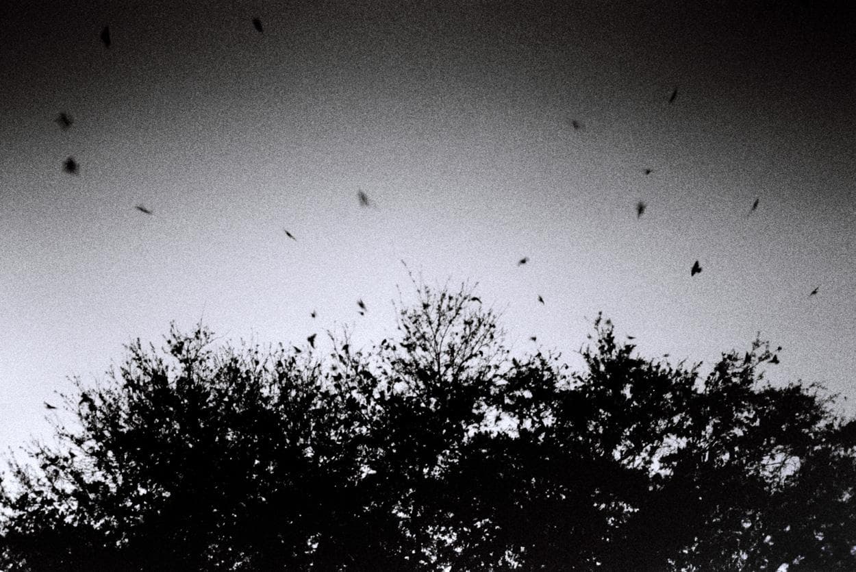 Two.One-伴.半_2010-3