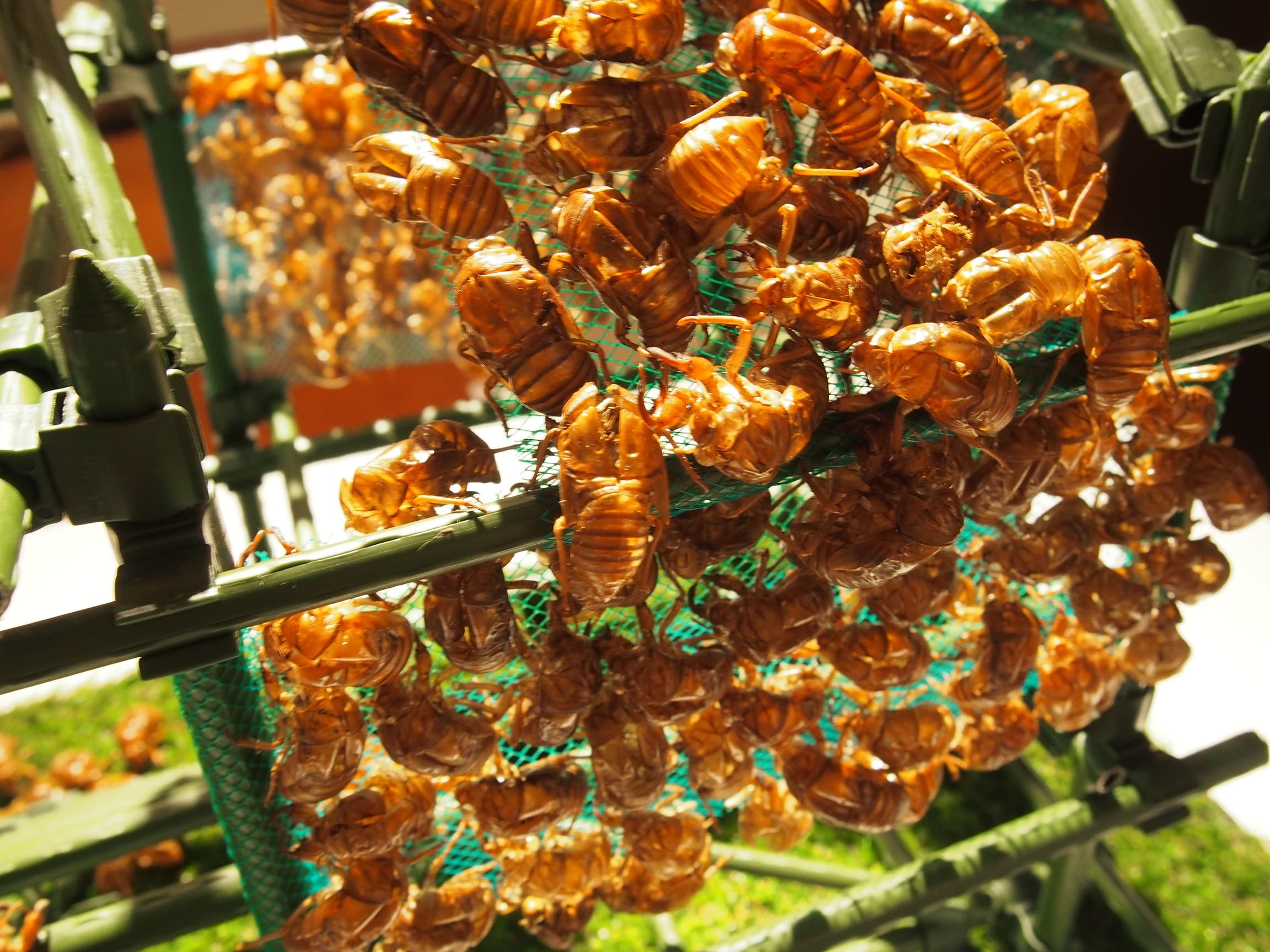 Residence of Transform