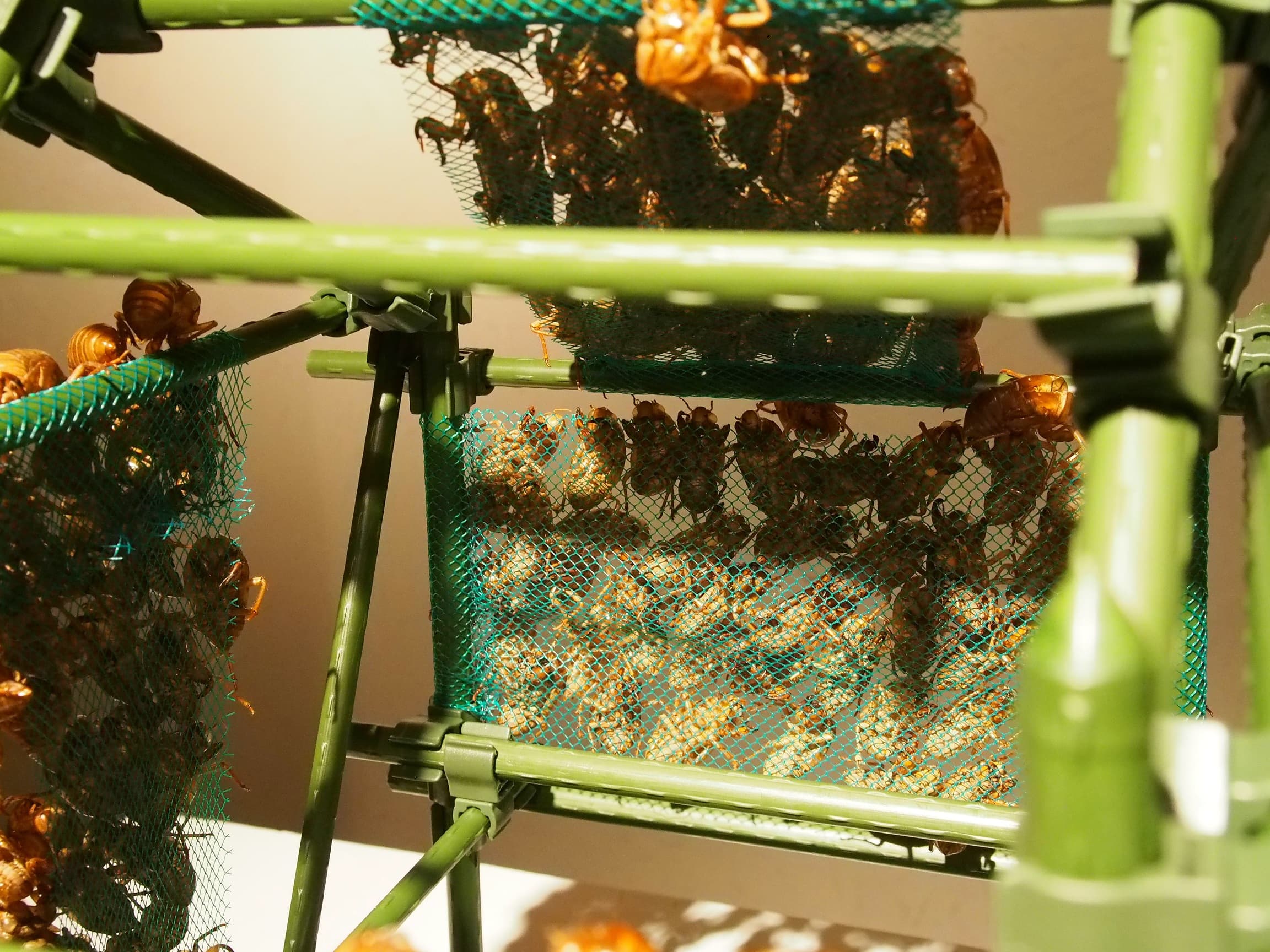 Residence-of-Transform-3