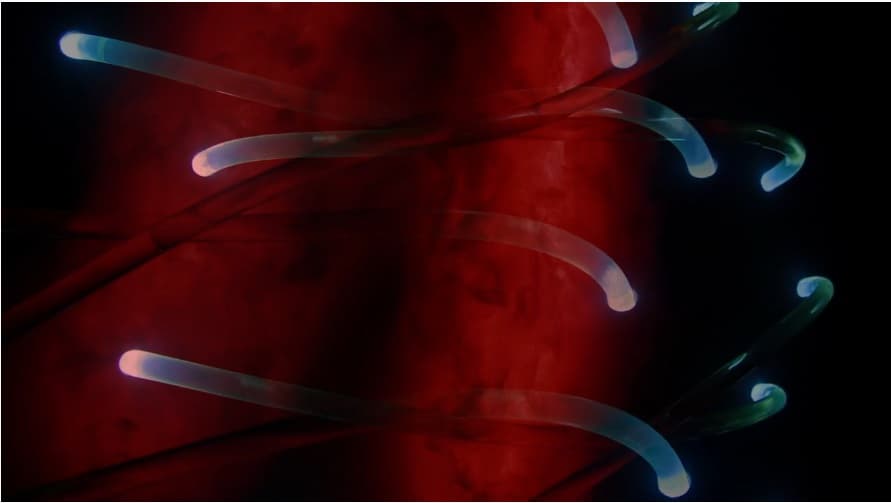 TXE17067_edit_2400-1