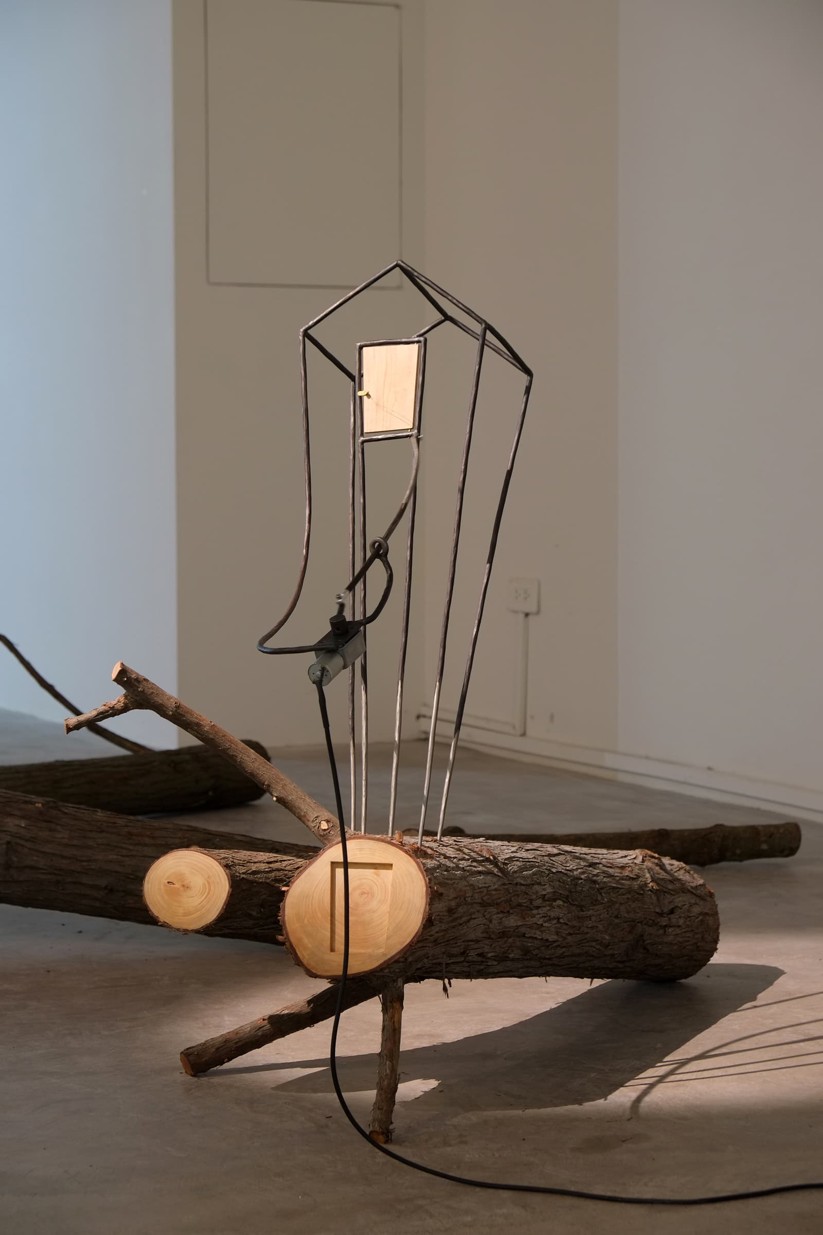 森林裡的遊戲 #2